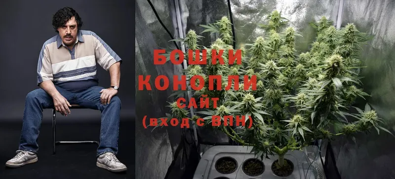 Канабис Bruce Banner  закладка  Коломна 